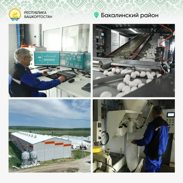 Плодоносные «Предпринимательские часы»