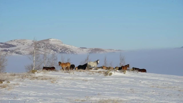 Радий Хабиров в социальных сетях поделился настроением