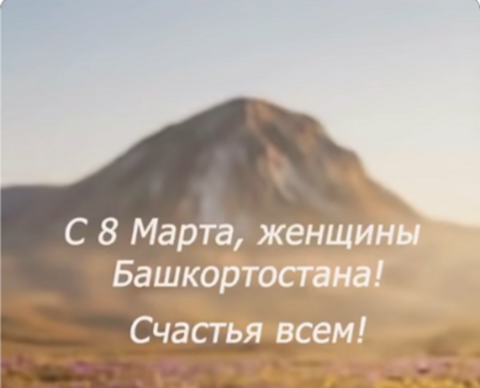 Радий Хабиров поздравил женщин Башкирии с 8 марта