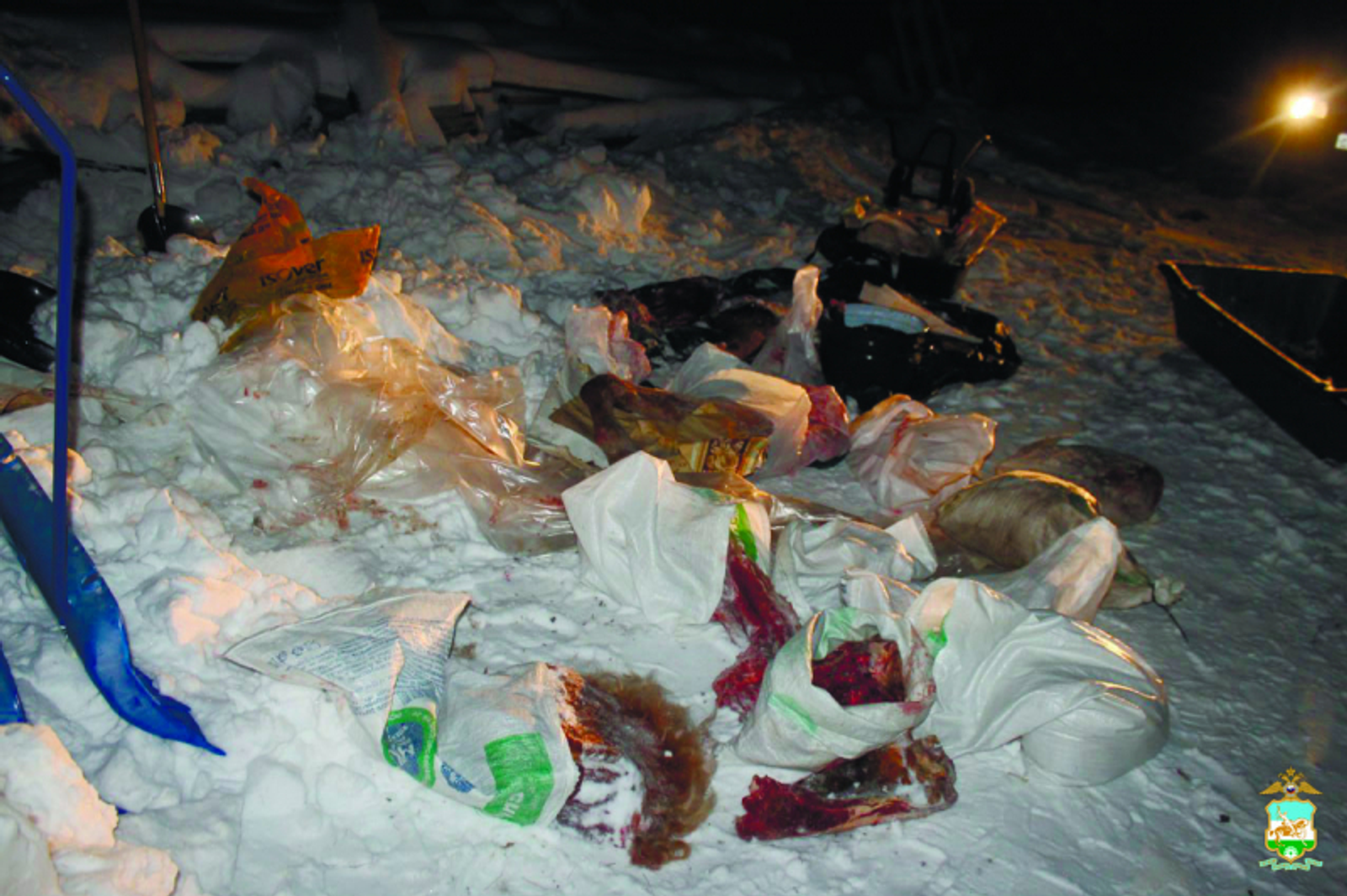 В Абзелиловском районе похитили и застрелили лошадь