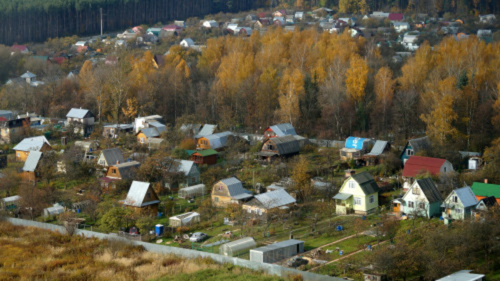 В Уфе пройдет форум СМАРТ-садовод