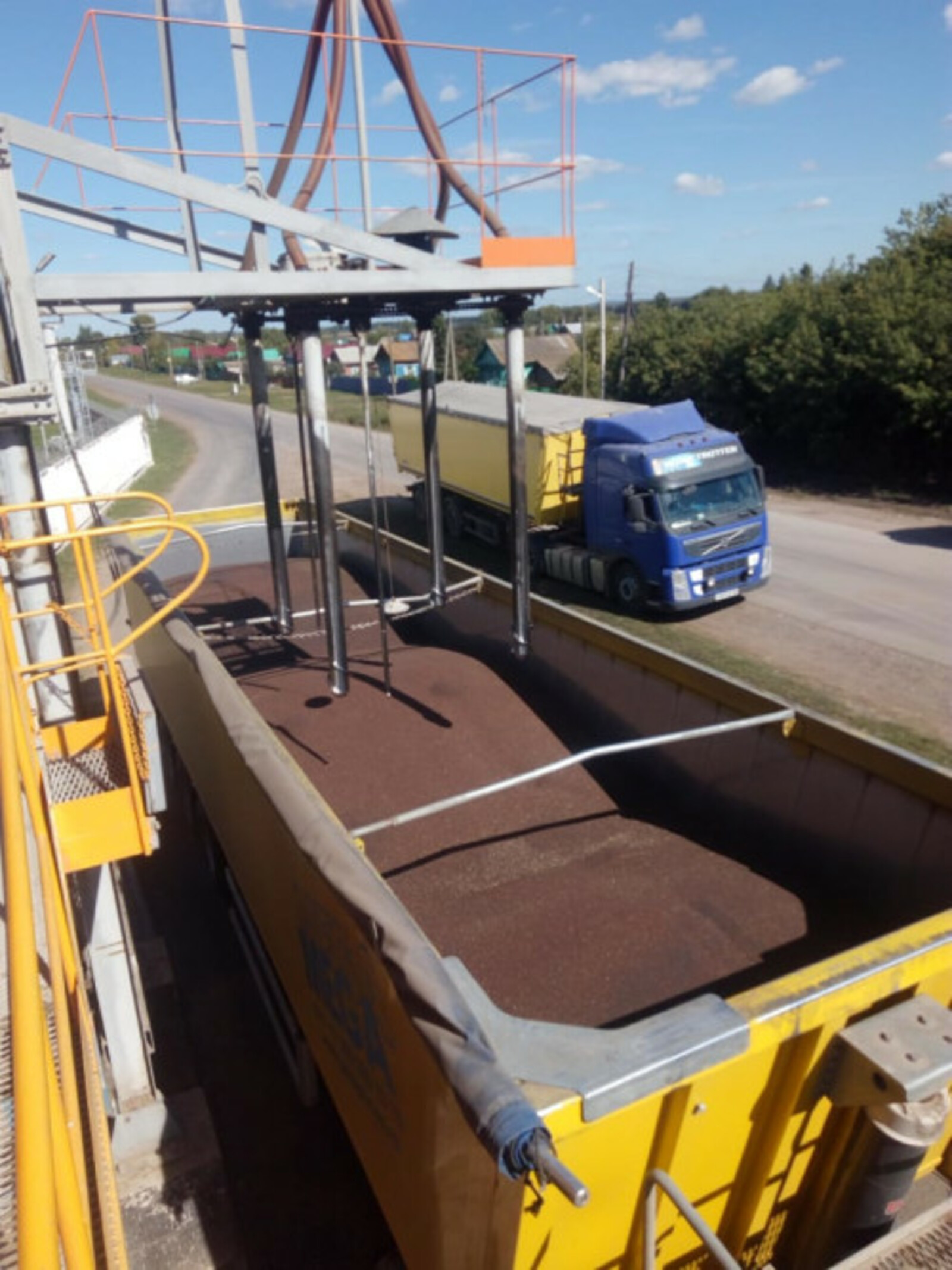 В Башкирии растет экспорт рапсового масла в КНР