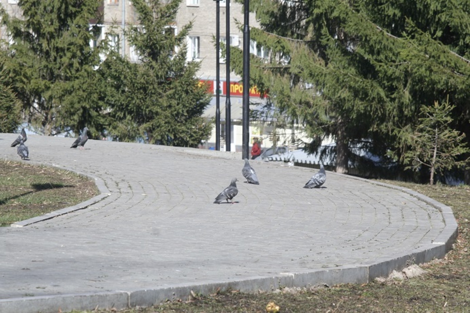 В Башкирии определили лучшие города по благоустройству