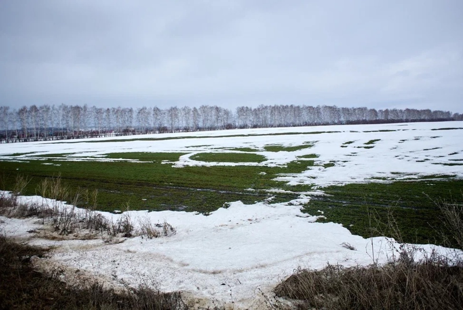 В Башкирии потеплеет до плюс 13 градусов