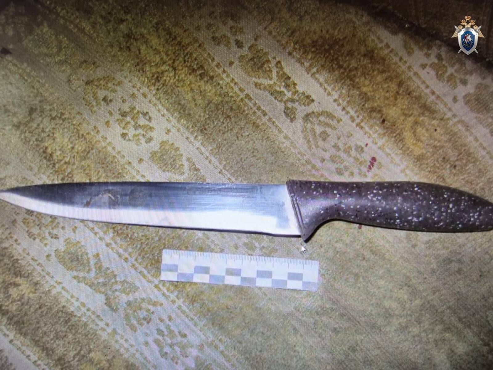 26-летнюю уфимку будут судить за попытку убийства сожителя