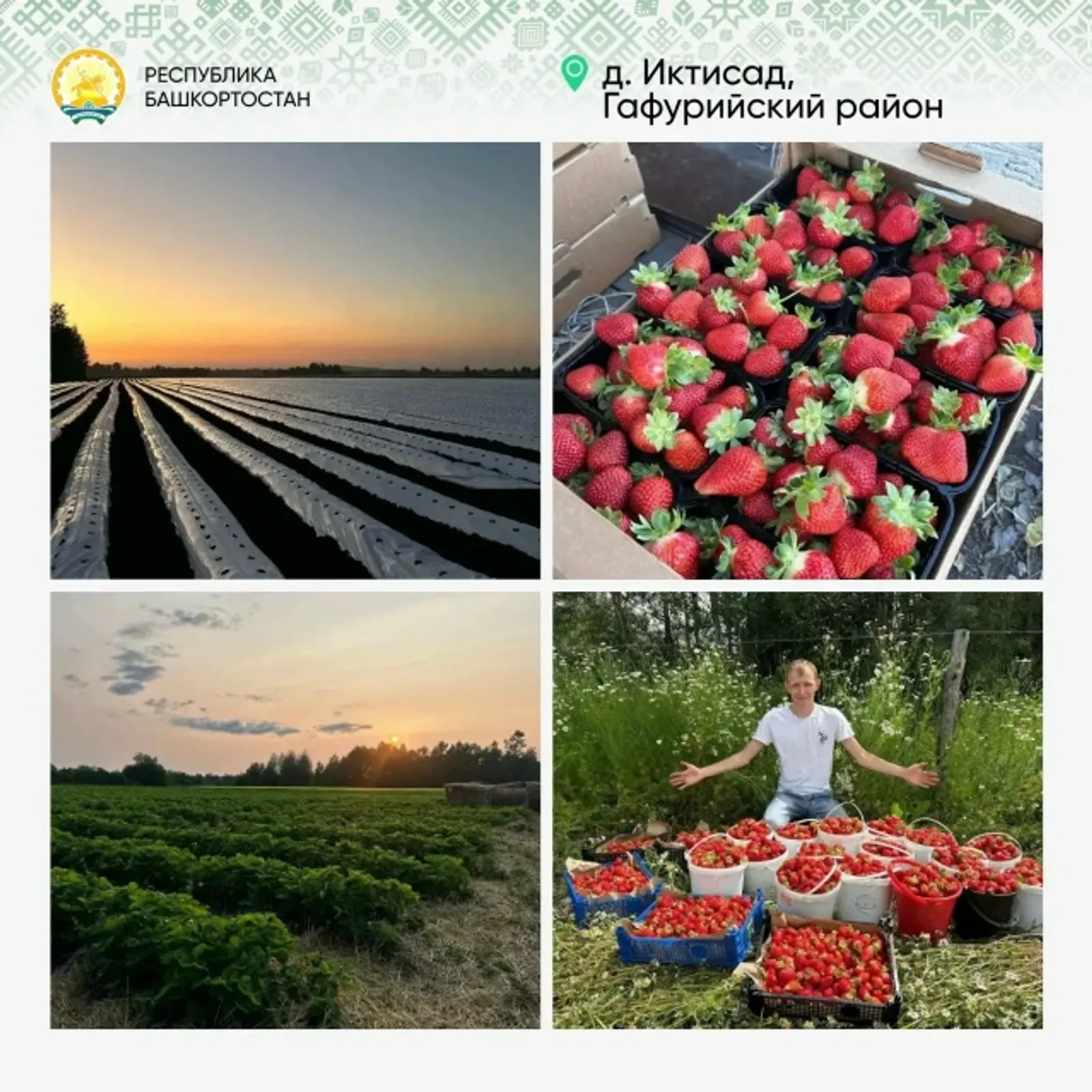 Плодоносные «Предпринимательские часы»