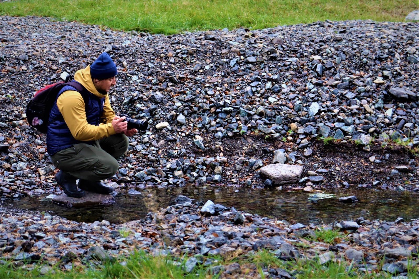 ВОЛОНТЕРЫ РГО СЧИТАЮТ МАРАЛОВ