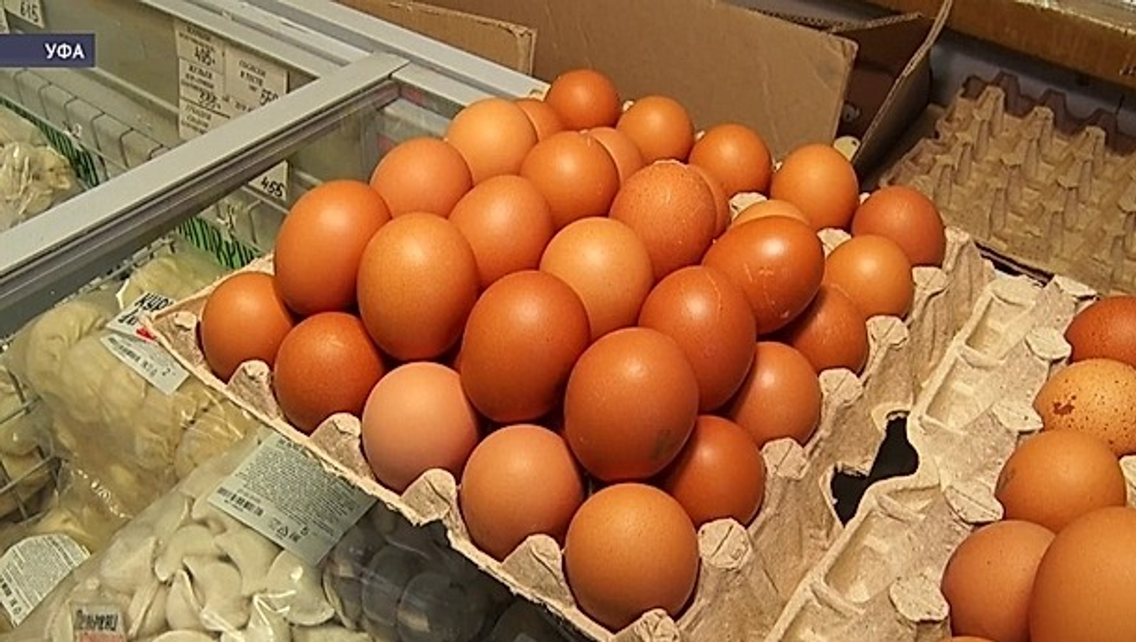 ФОТО: РУСЛАН ШАРАФУТДИНОВ | АРХИВ ИА «БАШИНФОРМ»